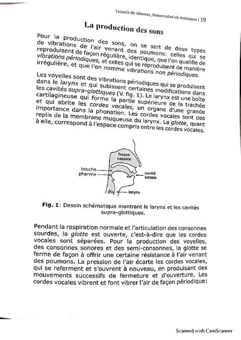 schéma de la production des sons ma, pa, ba par un bébé