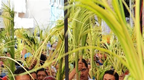 palmas del Domingo de Ramos y cenizas