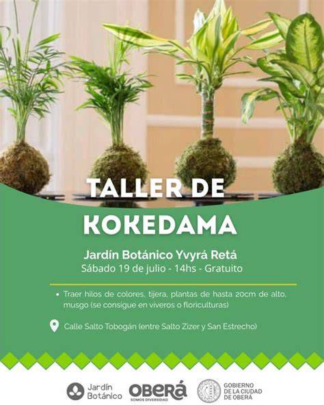 Taller de kokedamas para familias en el Parque de Riópar durante la maratón