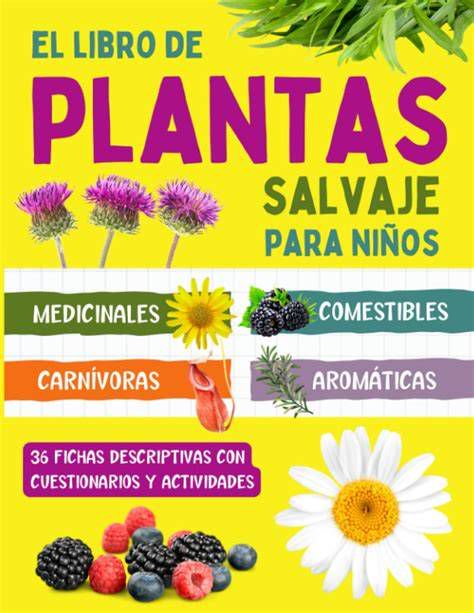 Niños aprendiendo sobre plantas medicinales en clase con imágenes y dibujos