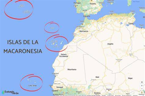Mapa conceptual: Islas de los Bienaventurados y su identificación con Macaronesia
